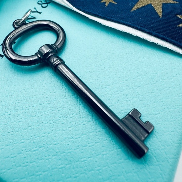 Retired Tiffany & Co. Black Titanium Oval Key Charm Pendant with Pouch - Picture 3 of 8